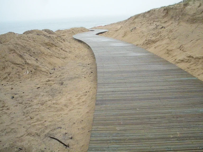Chemin dans les dunes